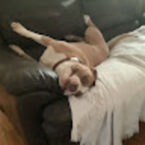 Meet your Posher, Francesca